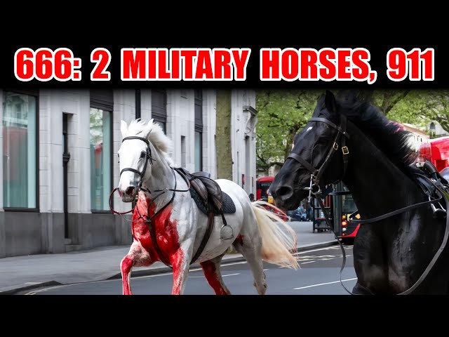 666: White & Black Military Horses Loose In London.  Big Ben Clock & 911. Revelation & The Seals