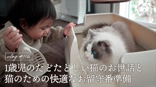 1歳児の猫のお世話お留守番も安心大型猫に快適空間を作ってみたラグドール猫 #116