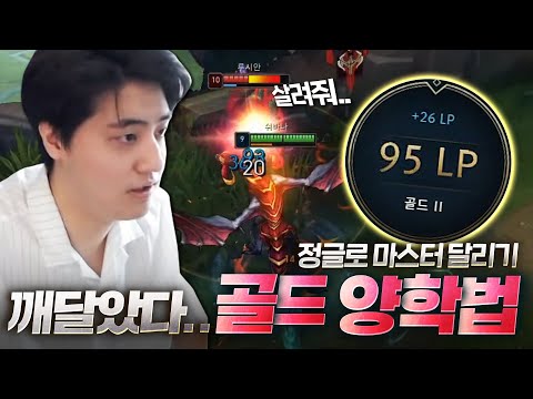 골드 형님들 이제 적응했습니다. 양학해드릴게요ㅇㅇ