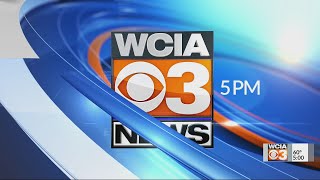 Champaign and Urbana mayors call for end to gun violence