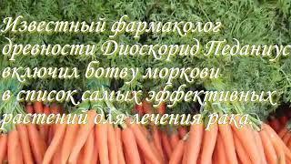 Секреты морковной ботвы