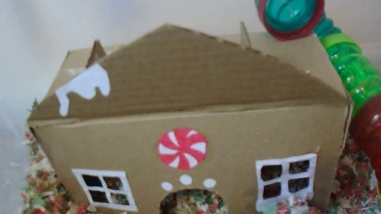 View of Winter Wonderland Christmas Themed Hamster Cage - YouTube