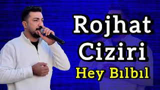Rojhat Ciziri Hey Bılbıl