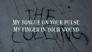 Chelsea Wolfe - The Culling (Retroman's karaoke version)
