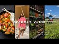 Weekly vlog  come shop with me  grocery haul  graduation dinner