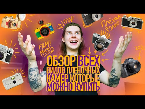 Video: Камерадагы мониторлор (23 фото): камера камерасы, Sony жана башка өндүрүүчүлөрдүн моделдерине сереп, тандоо критерийлери