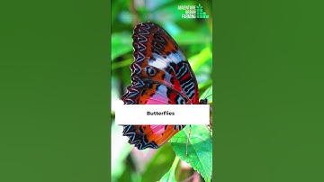 What are beneficial Insects for gardening? || Beneficial Insects to Protect Your Garden