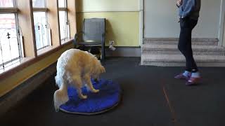 2024 01 On Your Mat by The Light Of Dog 23 views 2 months ago 11 minutes, 31 seconds