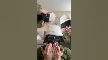 Cuando tu amigo hace muchas preguntas 🤣. #meme #memes #humor #amigos #bromas #perros