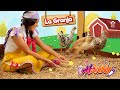 Hanny   la granja animales domsticos y animales salvajes