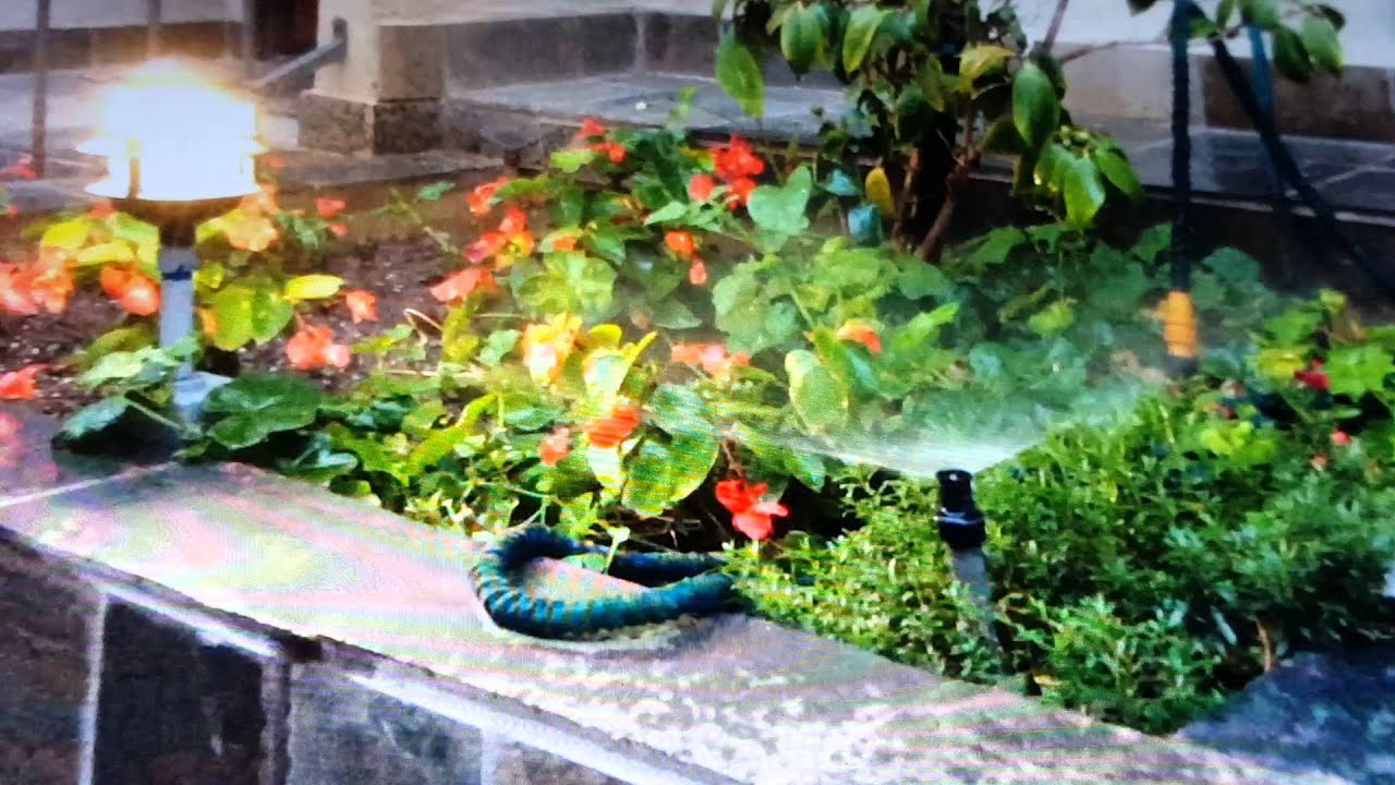 (011016) Sprinklers in my apartment building go off at 500 PM YouTube