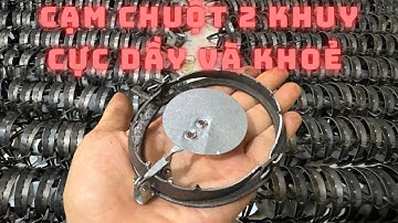 Cách chọn cạm kiềng bẫy chuột dùng bền 5-7 năm mà Ko lo chết cạm - bẫy kẹp 9cm bẫy chuột lối mòn