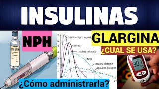 TODO SOBRE LAS INSULINAS | CLASIFICACIÓN Y FUNCIÓN | Súper Fácil