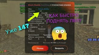 КАК БЫСТРО ПОДНЯТЬ УРОВЕНЬ В BLACK RUSSIA? УЖЕ 14? Я В ШОКЕ ОТ ЭТИХ СПОСОБОВ. LVL BLACK RUSSIA