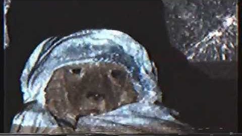 BroodingSideOfMadness - In Monster