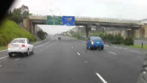 Cyberlink PowerDirector 9 Test