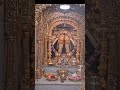 જય શ્રી ચામુંડા માતાજી🔱🙏 #chotila #chamunda #status #shots #shortsfeed #virlvideo