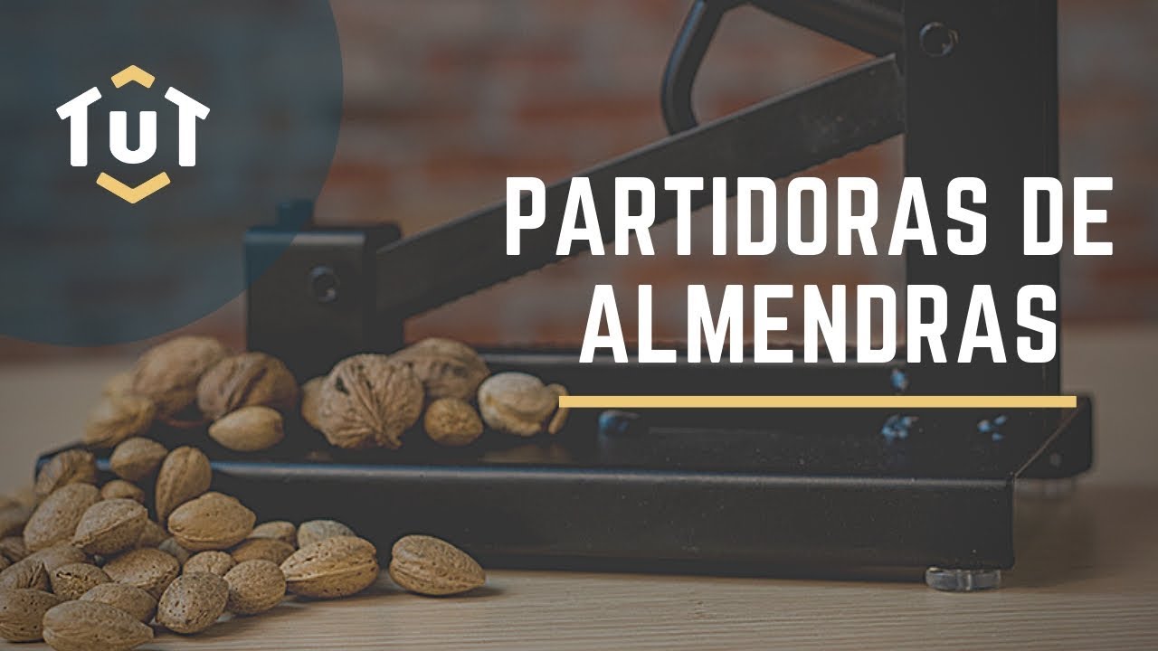 Partidora de almendras  Te ayudamos a elegir bien 🥜 