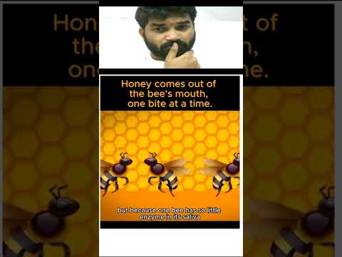 🐝🍯 #honey #bee #reaction #viral #shorts #subscribe #viralvideo #shortvideos #goneviral #meme #funny
