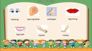 Basa Jawa kelas 1 bab Perangane awak lan gunane