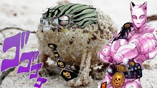 Angry Squeaking Kira
