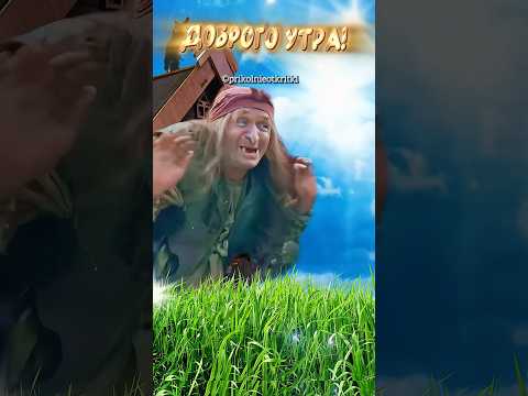 Доброе утро!🤣С Добрым утром и хорошим днем! Веселого дня и отличного настроения👍
