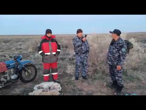Очередное задержание браконьеров в Казахстане. Браконьерство. Сайгаки. Туркестанская область.