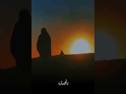 لابسات الملاحف 