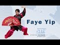Tai chi kung fu fan  xi yang mei  by master faye yip from professor li deyin demonstration