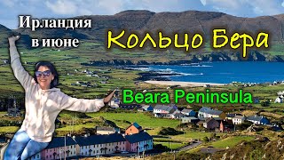 Ирландия🇮🇪Beara Peninsula/Что посмотреть/Лучшие пляжи/Healy Pass/The Beara Way/Wild Atlantic Way