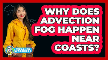 Why Does Advection Fog Happen Near Coasts? - Weather Watchdog