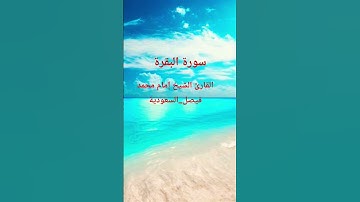 القرآن الكريم #اكسبلور #المصحف #تلاوات_رائعة #تيك_توك #لايك
