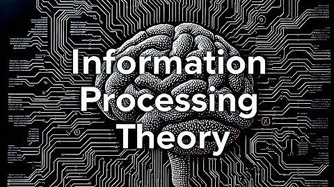 Information Processing Theory | Psychology 