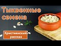 🟠 Тыквенные семена - ИНТЕРЕСНЫЙ ХРИСТИАНСКИЙ РАССКАЗ | Христианские рассказы