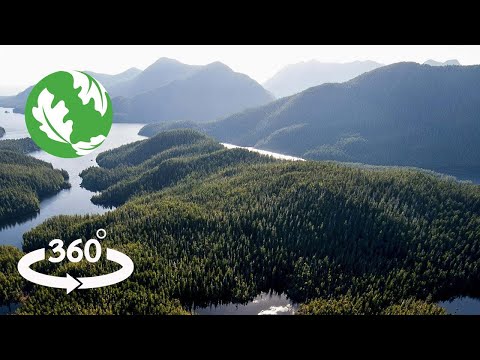 The Emerald Edge: Nature's Guardians (360° Video)