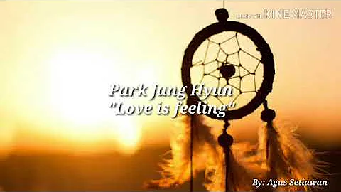 Park jang hyun-love is feeling sub indo