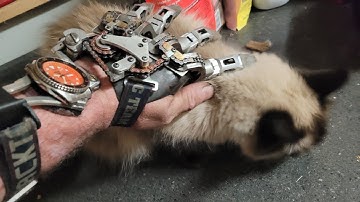 Using Meshmixer to Build a Partial Hand Prosthetic Socket