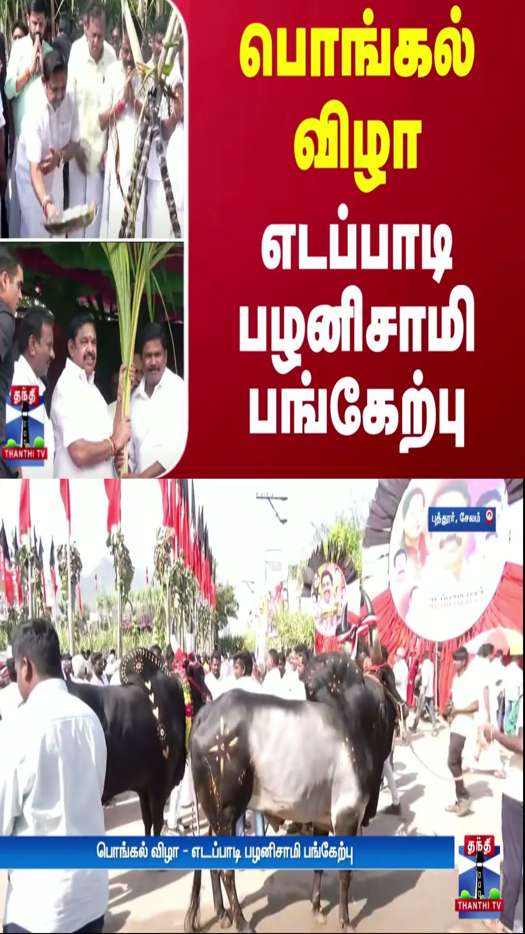 பொங்கல் விழா - அதிமுக பொதுச்செயலாளர் எடப்பாடி பழனிசாமி பங்கேற்பு