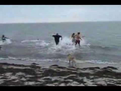 Polar Bear Plunge - West Dennis Beach - March 1st,...