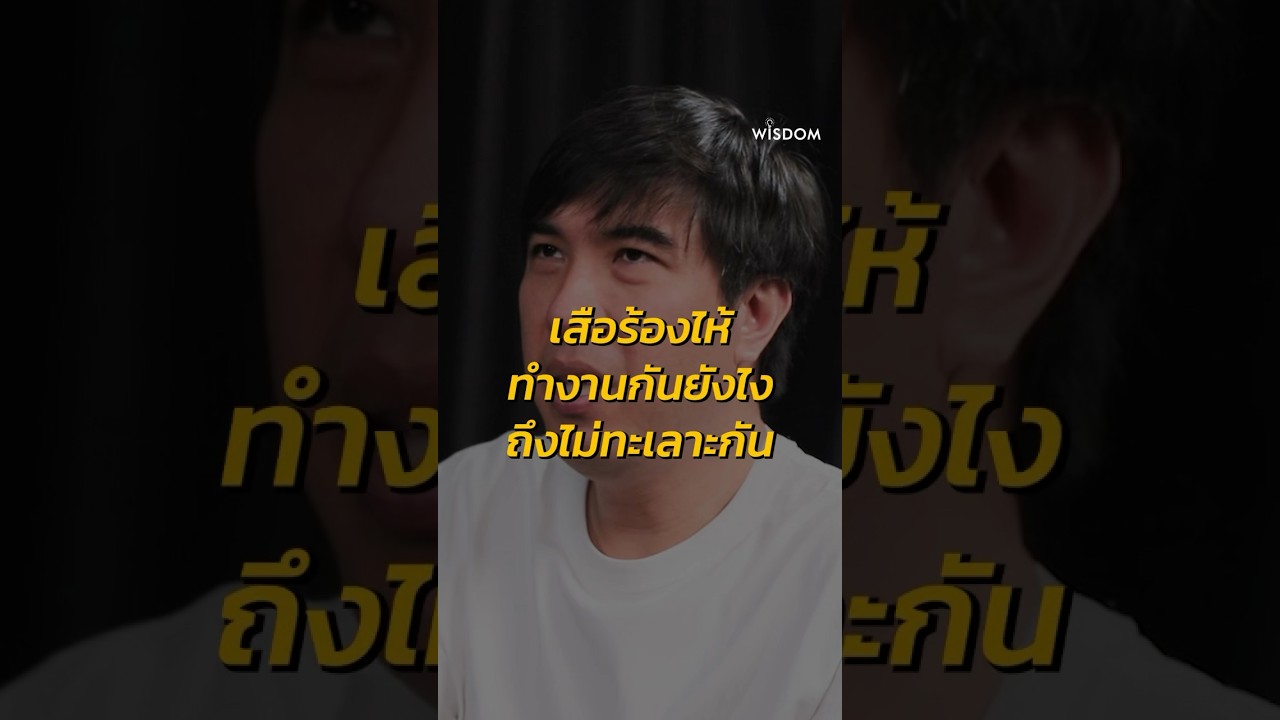 เสือร้องไห้ ทำงานกันยังไง ถึงไม่ทะเลาะกัน #WISDOMxเอ็ด7วิ #เอ็ด7วิ #เสือร้องไห้ #AIMHOUR