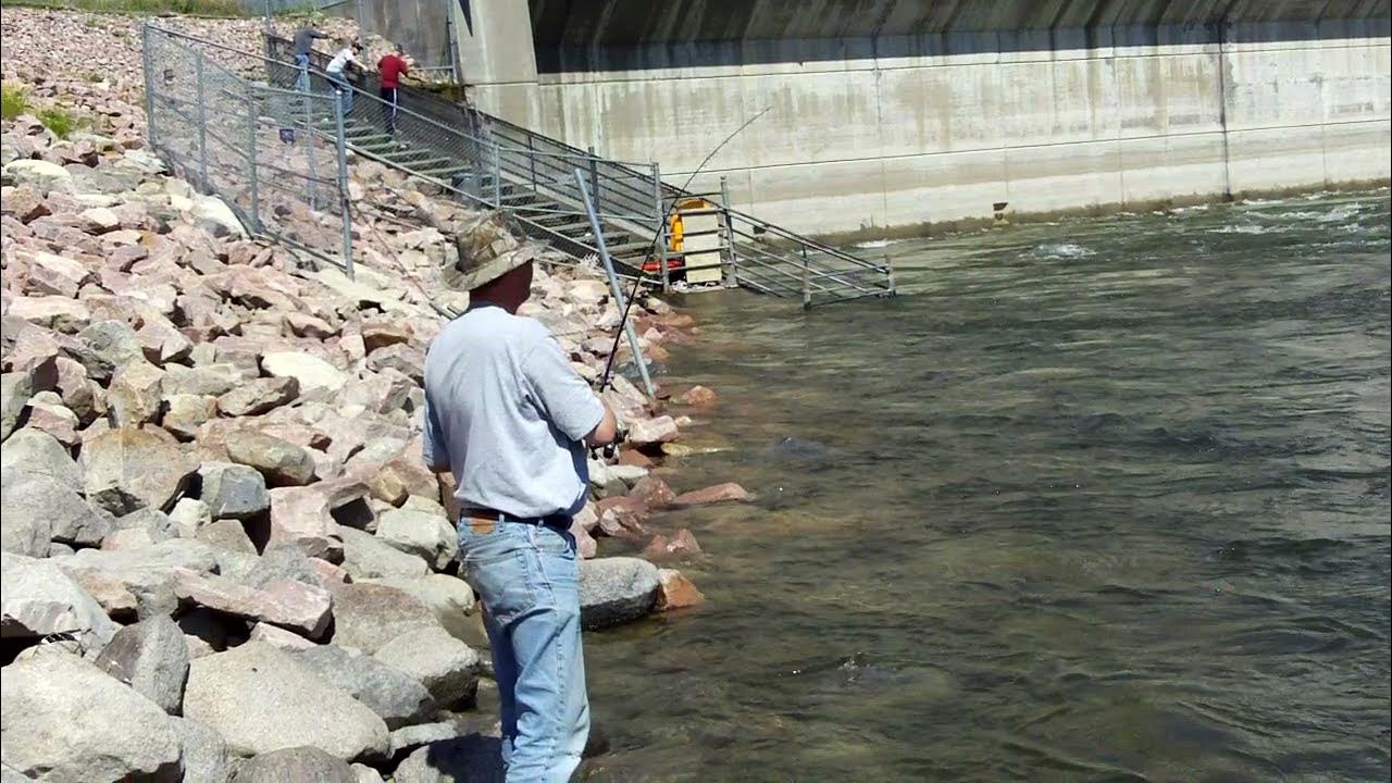 Big Bend South Dakota Paddlefish ON YouTube