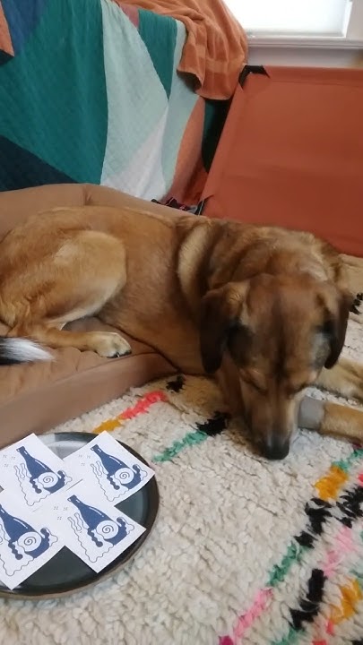 clue snail bar YouTube clue snail bar YouTube