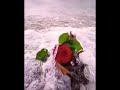 اجمل وردة على البحر 