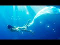 Relaxing Music. Healing Dolphins Songs + Alpha Binaural Beats for Study, Meditation, Deep Sleep