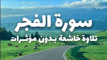 سورة الفجر 🌙 تلاوة خاشعة تبعث الطمأنينة تشبه تسجيل الاذاعة بدون مؤثرات  | القارئ مجتبى عادل 