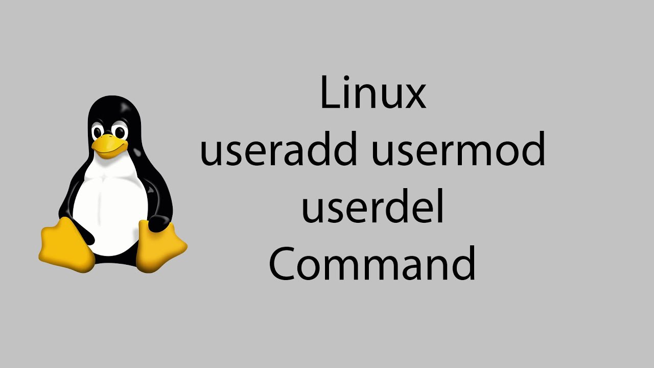 Линукс Кэт. Userdel Linux. Groupadd Linux. Tar Command. Usermod linux