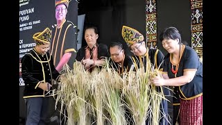 "2023 Pesta Kaamatan in Malaysia: A Spectacular Celebration of Harvest and Culture Goes Viral!" screenshot 5