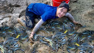 Harvesting LOACH - 2 Year Alone in Forest