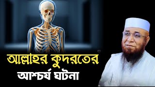 আল্লাহর কুদরতের আশ্চর্য ঘটনা | মুফতি নজরুল ইসলাম কাসেমী | Mufti Nazrul Islam kasemi | Bangla Waz