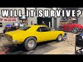 BARN FIND PRO STREET &#39;67 FIREBIRD DYNO SESSION!